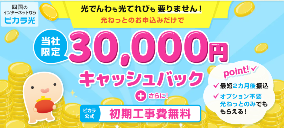 NEXTのピカラ光キャンペーンサイト