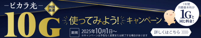 ピカラ光10ギガキャンペーン