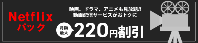 auひかり×Netflix