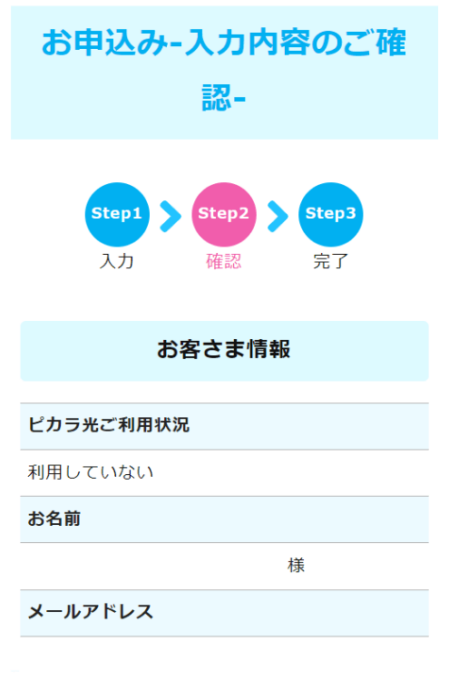 入力内容の確認