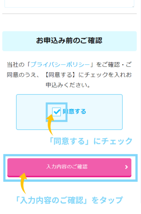 同意にチェックを入れて入力内容の確認をチェック