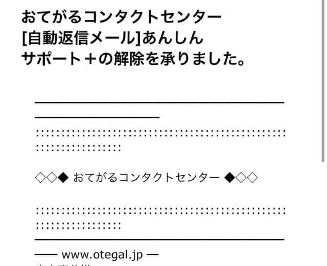 おてがる光のオプションキャンセル