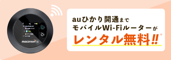 auひかりをNEXTから申し込むとルーターをレンタルできる