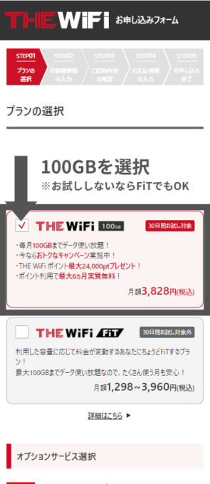 THE WiFiの申し込み方法②
