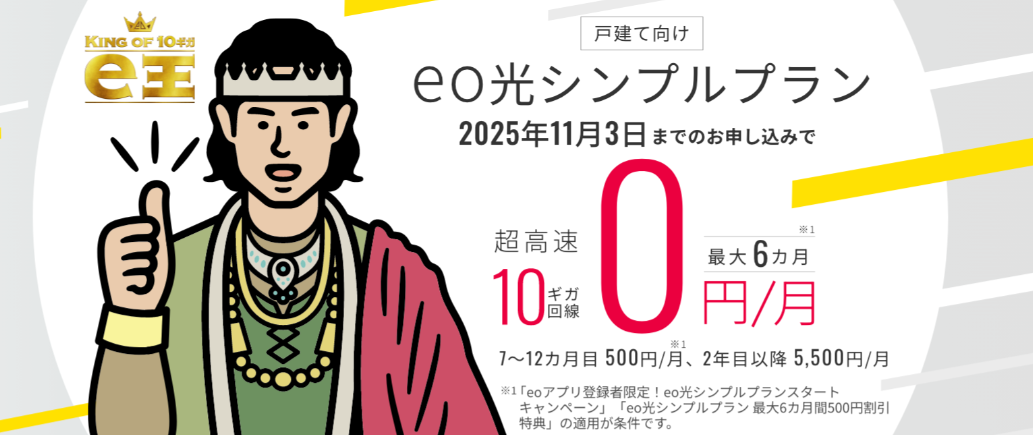 eo光のシンプルプランのトップ画像