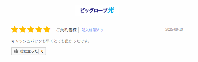 ビッグローブ光の口コミ③