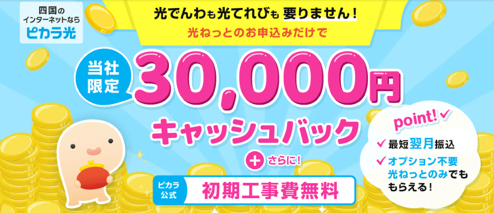 ピカラ光のキャンペーン画像