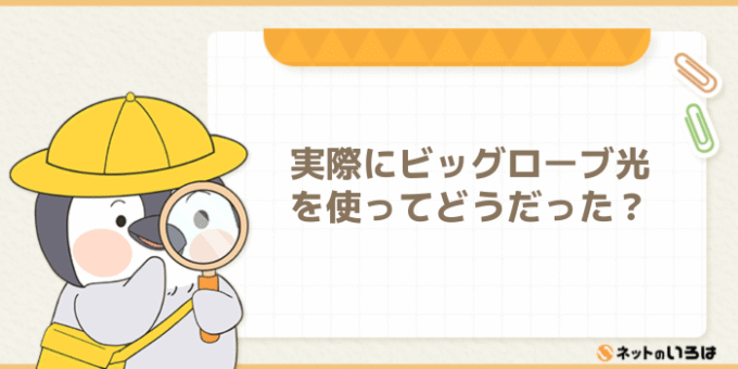 ビッグローブ光 評判