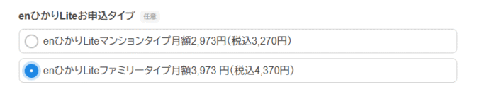 enひかりLiteのプラン選択画面