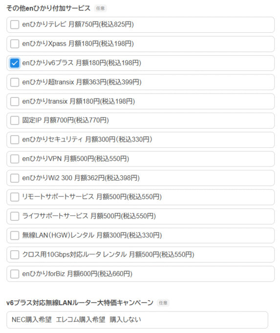 IPv6オプション