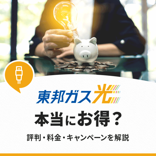 東邦ガス光のサービス概要を徹底解説